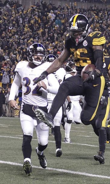Steelers: AFC North Standings Week 17